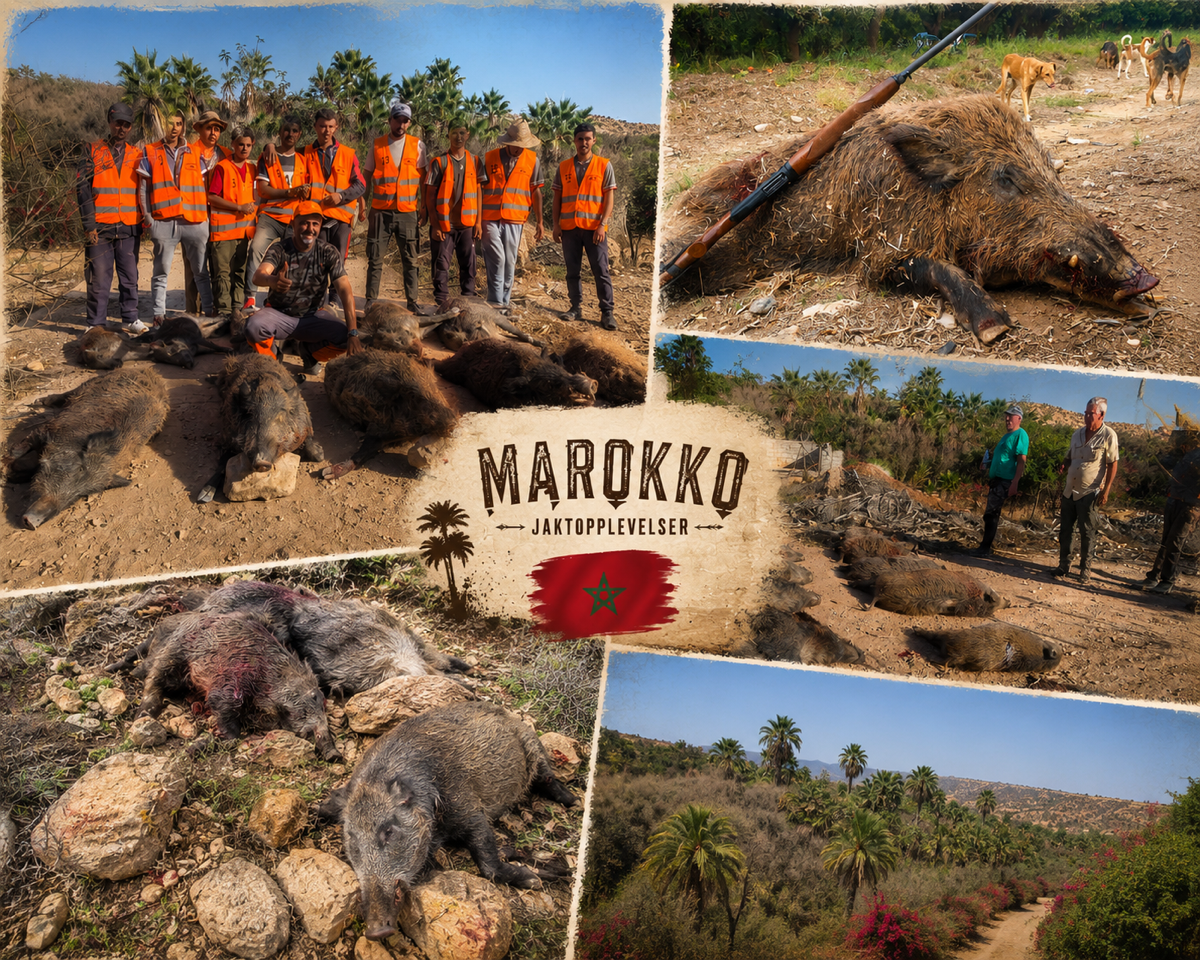 Jaktopplevelser fra Marokko — kollasje 1